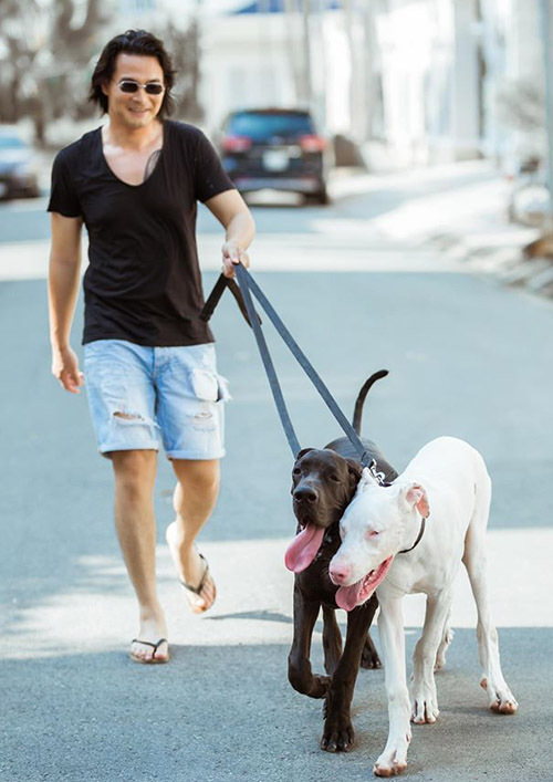 Những buổi chiều thảnh thơi anh thường dắt chó đi dạo quanh khu nhà mình ở.
